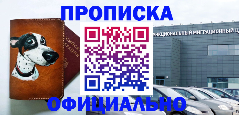временная прописка в Наволоках